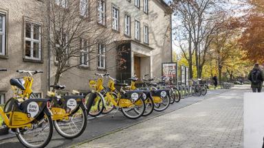 Gelbe Fahrräder vor einem Gebäude der TU Dresden. Unten rechts ein Porträt eines Mannes mit Bart.