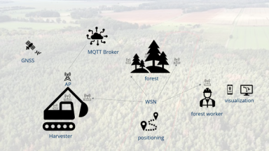 Graphic depicts navigation in the forest