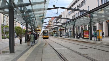 Eine Straßenbahn an einer Dresdner Haltestelle