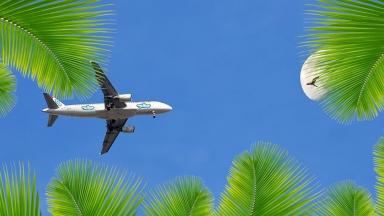 Ein Flugzeug am blauen Himmel umringt von Palmenblättern.