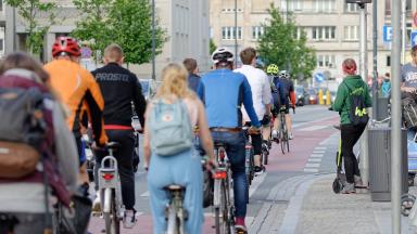 A group of cyclists photographed from behind