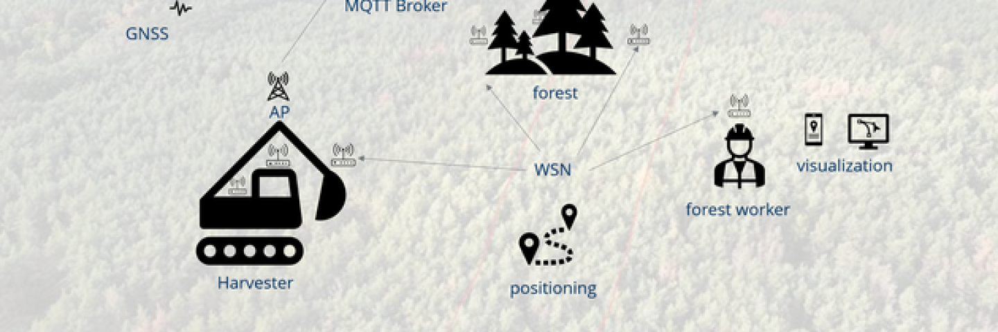 Graphic depicts navigation in the forest