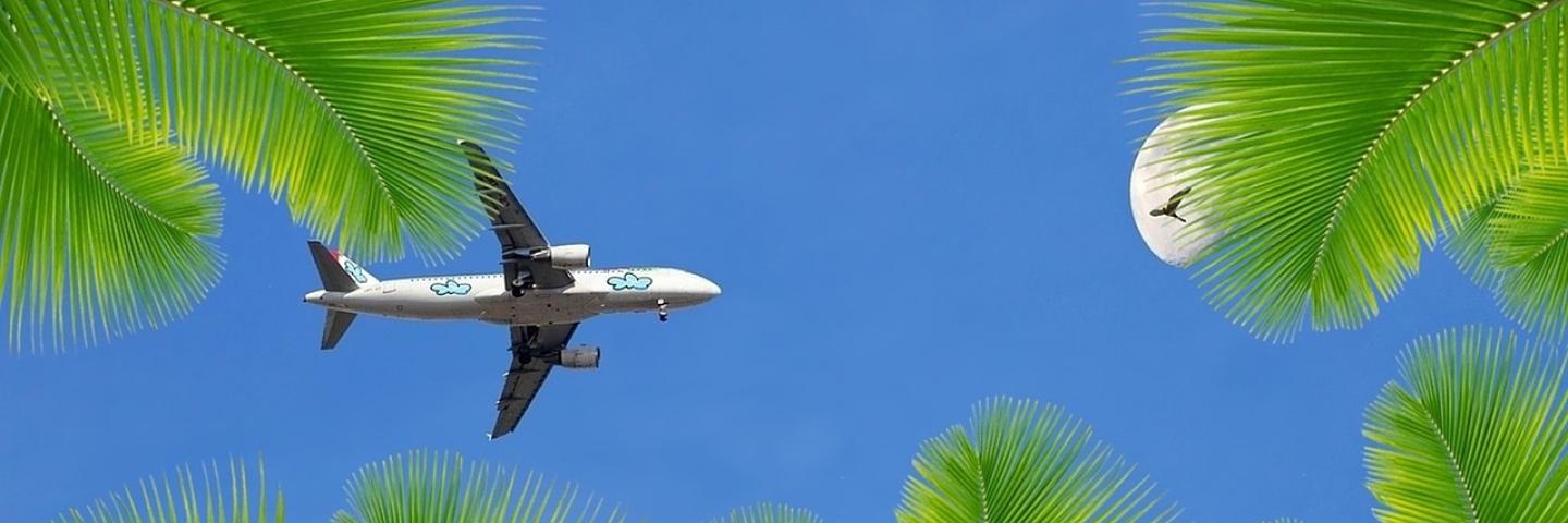 Ein Flugzeug am blauen Himmel umringt von Palmenblättern.