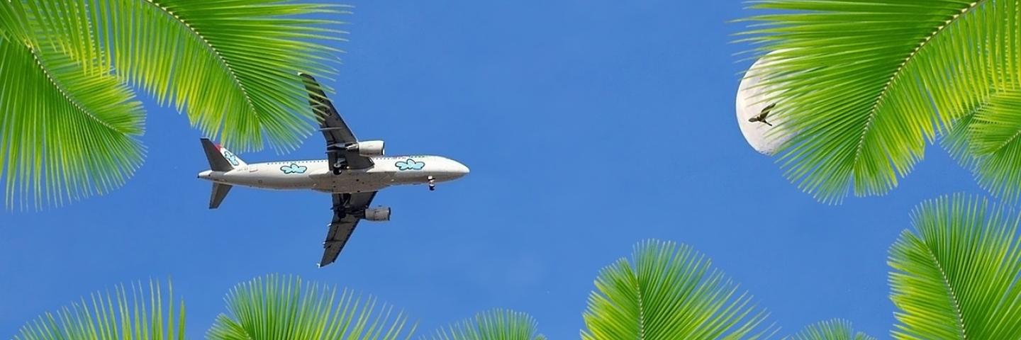An aeroplane in the blue sky surrounded by palm leaves.