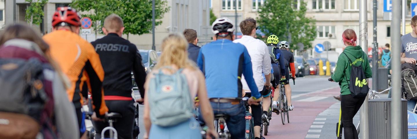 A group of cyclists photographed from behind